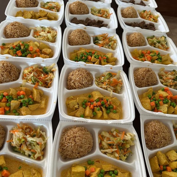 Multiple Indonesian takeout containers filled with rice, tofu curry, and vegetable salad.
